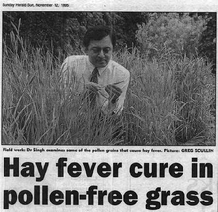 hay-fever